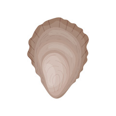 Closed oyster shell. Vector illustration on white background.