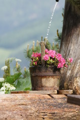 pink flowers in a wooden pot with water jet