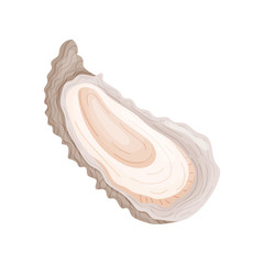 Obraz na płótnie Canvas Clam in a beige shell. View from above. Vector illustration on white background.