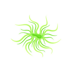 Light green plankton with long tentacles. Vector illustration on white background.