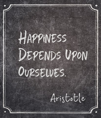 upon ourselves Aristotle