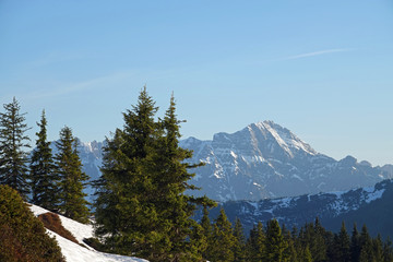beautiful view to the alps on a sunny day in austria