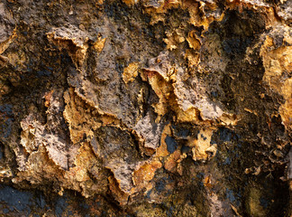 Mud wall background and abstract