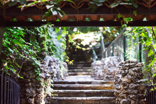 Stone gray staircase leading to a beautiful green garden with plants. Exotic garden in Turkey. © Repli-Kate