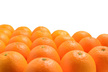 Group of oranges in a row isolated on white background, Space for text or design.