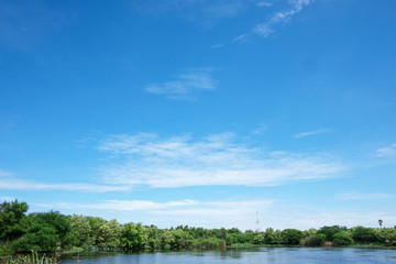 White clouds and blue sky with trees of beautiful view landscape use for advertisement , background and wallpaper