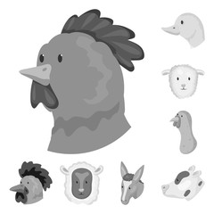 Isolated object of countryside and homestead icon. Collection of countryside and breeding vector icon for stock.