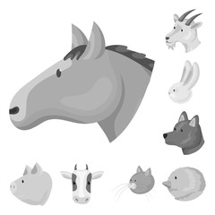 Vector design of countryside and homestead sign. Set of countryside and breeding stock symbol for web.