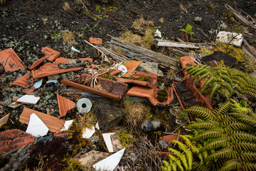Construction waste in rural forest