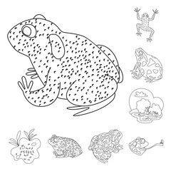 Vector design of amphibian and animal icon. Set of amphibian and nature vector icon for stock.