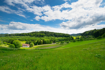 Berghaupten im Kinzigtal im Schwarzwald