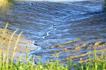 a dry creek during low tide