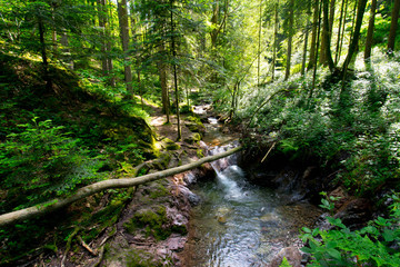 Fototapeta na wymiar Edelfrauengrab Wasserfälle bei Ottenhöfen im Schwarzwald