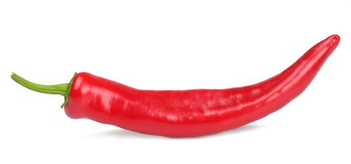 Pepper bitter on white background isolated