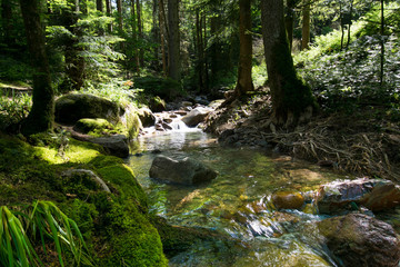 Fototapeta premium Edelfrauengrab Wasserfälle bei Ottenhöfen im Schwarzwald
