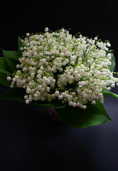 Lily of the valley flowers on a black background 2