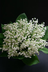 Lily of the valley flowers on a black background 3