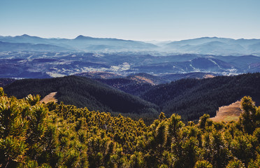 Fototapeta premium Landscape of The Carpathian Mountains in autumn