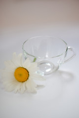 Transparent glass cup with chamomile 5