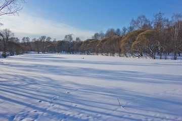 Fototapeta na wymiar winter rural landscape with snowy trees and snow