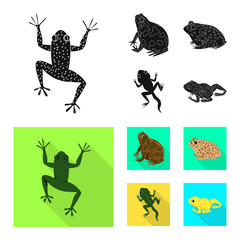 Vector illustration of wildlife and bog logo. Set of wildlife and reptile stock symbol for web.