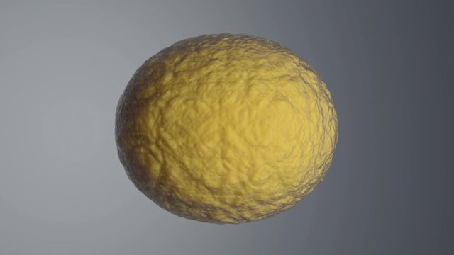 3D rendered Animation of the Mitosis of a cell aka the cell division process.