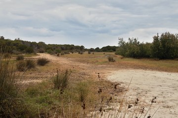 Spiaggia di Berchida