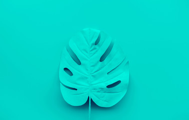 Collection of tropical leaves,foliage plant in blue color with space background.Abstract leaf decoration design.Exotic nature art