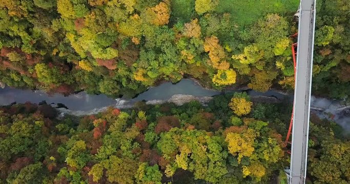 Aerial of Oyasu ravine Oyasukyo onsen and Kawarayu bridge in autumn (fall) leaf colors. Valley of hot springs mineral bath or Bathtub of Hell. Minase, Yuzawa, Akita, Japan
