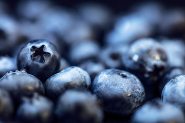 Frische rohe Heidelbeeren oder Blaubeeren, Kultur-Heidelbeeren