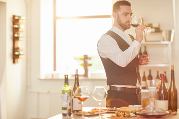 Waist up portrait of professional sommelier holding glass during wine tasting session in winery lit by sunlight, copy space