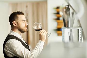 Side view portrait of professional sommelier holding wine glass during tasting session, copy space