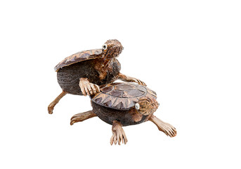 love : turtle toy on white background