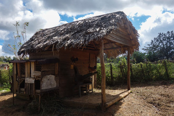Little, wooden chicken-house on a farm in the famous tourist destination and UNESCO Heritage Vinales valley, Pinar Del Rio, Cuba