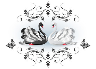 Decorative card with black and white swans and vintage ornament for invitations or congratulations with wedding or engagement