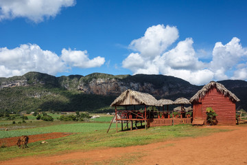 Cafe with a big terrace in the famous tourist destination and UNESCO Heritage Vinales valley, Pinar Del Rio, Cuba