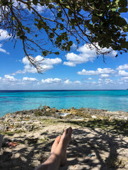 White tourist relaxing under a tree on the coast of Bay of Pigs with it`s clear, blue water near Playa Giron, Cuba