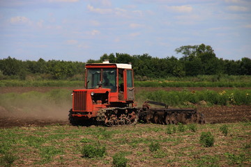 Obraz premium tractor in field