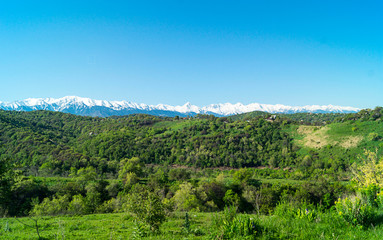Fototapeta na wymiar Beautiful green illustration on blue backdrop. Green mountain forest landscape. Beautiful spring landscape. Mountain tourism, hiking. Sunny spring day. Panoramic view.