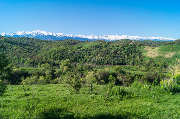 Beautiful green illustration on blue backdrop. Green mountain forest landscape.  Beautiful spring landscape. Mountain tourism, hiking. Sunny spring day. Panoramic view.