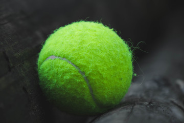 A green tennis ball is lying on a tree.