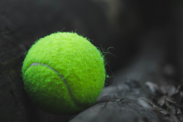 A green tennis ball is lying on a tree.