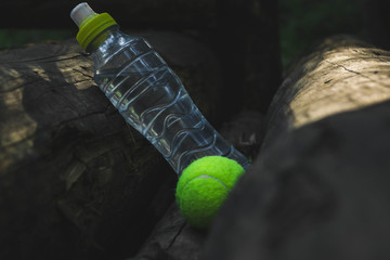Tennis ball and a bottle of water lying next to a tree in the forest