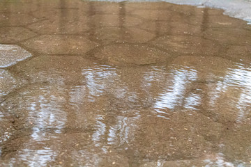 Palm tree and sky reflections in a water puddle