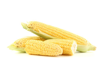 Ripe corn isolated on white background