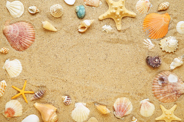 Different seashells on beach sand