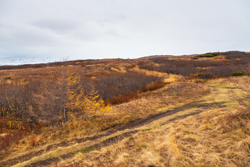 Duct on Peninsula Kamchatka, Russia. Landscape in autumn color.