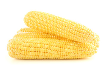 Ripe corn isolated on white background
