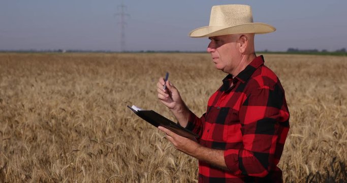 Farmer Image Inspecting Farmland Wheat Crop and Taking Notes in Agenda