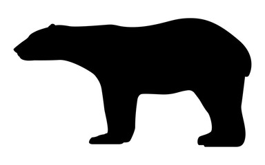 Vector illustration black silhouette polar bear